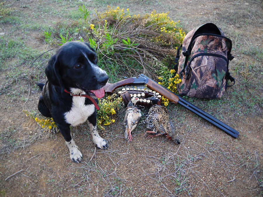 Cyprus Hunting Magazine Limassol Cyprus